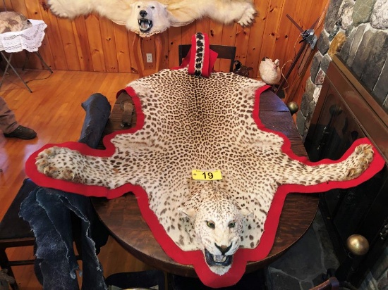 AFRICAN LEOPARD RUG, “No Out-of-State Buyers, Maine Residents Only.”