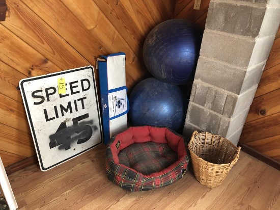 LOT: EXERCISE BALLS, PET BED, STREET SIGN, SPORT NET