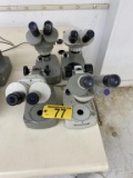 (4) MICROSCOPES