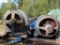 (2) ALLIS-CHALMERS AC INDUCTION MOTORS