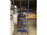 6' ROLLING STOCKLADDER