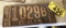 LICENSE PLATE MAINE 1933 DEALER