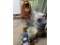 LOT OF CLEANING SUPPLIES & WATER HOSE