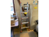 LITTLE GIANT TITANX LADDER