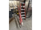 FLR 6: LOT: 6' WERNER FIBERGLASS STEP LADDER & 10' LOUISVILLE FIBERGLASS LADDER