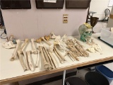 FLR 1: LOT OF ASSORTED EDUCATIONAL ANATOMY STRUCTURES