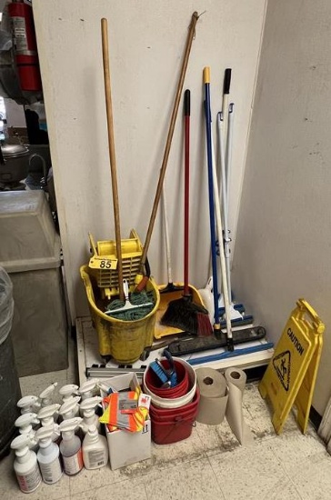 CLEANING LOT: MOP BUCKET, WRINGER, 2-MOPS, BROOMS, DUST PANS, SQUEEGEE, CLEANING CHEMICALS, BRUSHES
