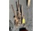 LOT: 4-CHAIN BINDERS