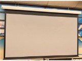 POWERED PROJECTION SCREEN, 117.5