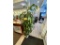 LOT OF 2-PLANTS