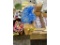 LOT: 4-CASES OF PEDICURE LINERS