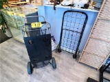 LOT: 2-CONVERTIBLE STORAGE CADDIES