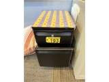 PORTABLE 2-DRAWER FILE CABINET