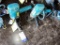 (2) MAKITA MODEL 9218PB 180MM. POLISHERS