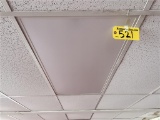 FLR 1: LOT OF (785+/-) ARMSTRONG 4X2 CEILING TILES