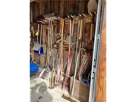 (50+) ASSORTED LONG HANDLED TOOLS: SPADES, SCYTHE, SLEDGE HAMMERS, PICKS, COPERS, BROOMS, HOES, AXE
