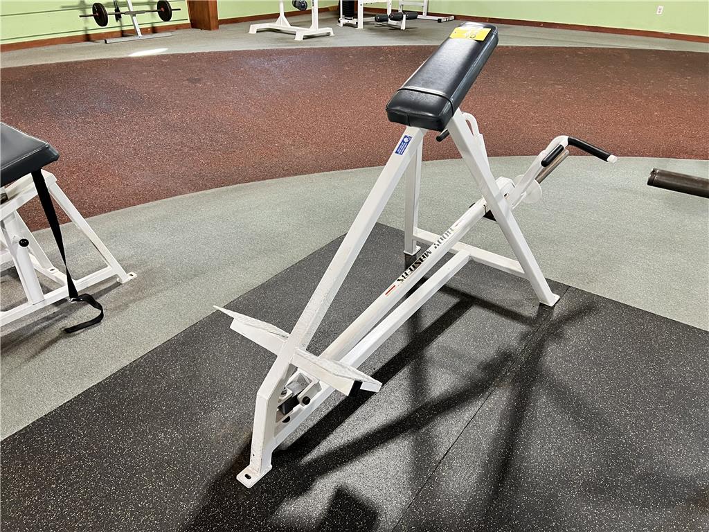 Body masters t bar row hotsell