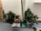 LOT OF ASSORTED HOLIDAY DECORATIONS & ARTIFICIAL TREES