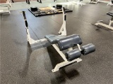 BODY MASTERS DECLINE WEIGHT BENCH
