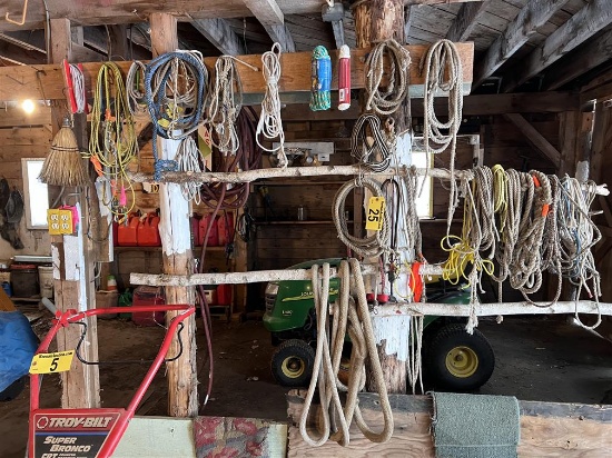 LOT OF ASSORTED ROPE, BUNGEES, LEADS, STRAPS