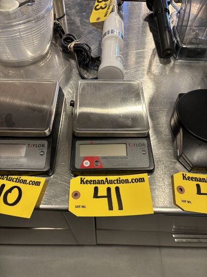 TAYLOR TE32FT 2LB. DIGITAL PORTION SCALE