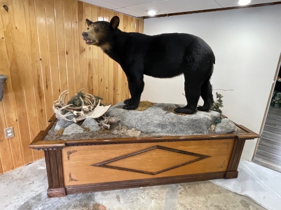 BLACK BEAR, 2007, 245LB, PASSADUMKEAG, ME