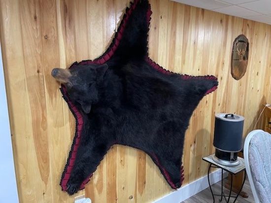 BLACK BEAR RUG, SPRING OF 2010, 165LB, NEW BRUNSWICK, CANADA
