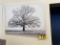 BLACK & WHITE STRETCHED CANVAS TREE PRINT, RETAIL $50