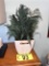 POTTED PLANT