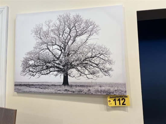 BLACK & WHITE STRETCHED CANVAS TREE PRINT, RETAIL $50