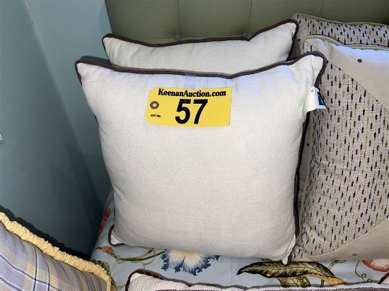 BID PRICE X 2 - (2) ACCENT PILLOWS,  RETAIL $59 EACH