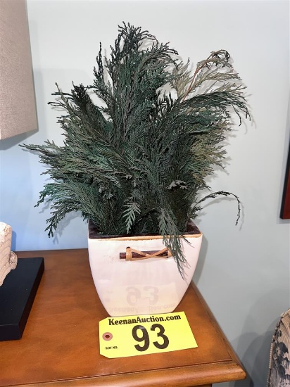 POTTED PLANT