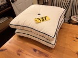 BID PRICE X 2 - (2) PILLOWS, RETAIL $100 EACH