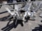 BID PRICE X 5 - (5) ADIRONDACK CHAIRS W/ FIRE PIT