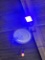 LOT: 12-ASSORTED LED CEILING LIGHTS, COLORED & WHITE