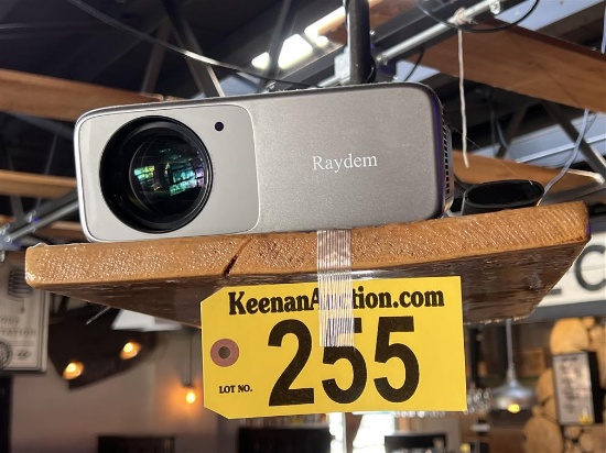 RAYDEM RD-881 PROJECTOR W/ VIVO HOME 90" PROJECTOR SCREEN
