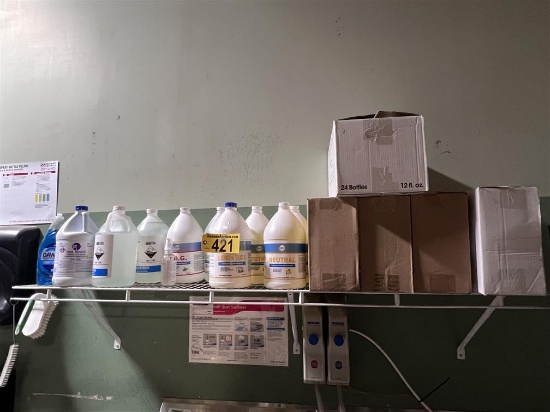 LOT OF ASSORTED CLEANING CHEMICALS, BLEACH, DETERGENT, SURFACE CLEANER