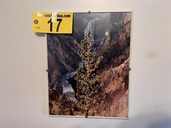 FRAMED CANYON PHOTOGRAPH, 11" X 14"