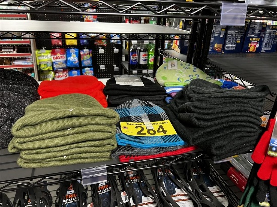 LOT OF 29-ASSORTED BEANIES