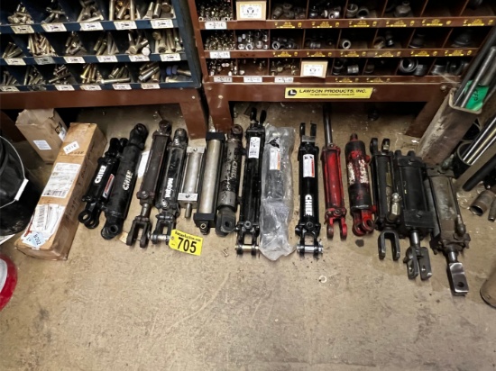 LOT: 16-ASSORTED HYDRAULIC CYLINDERS