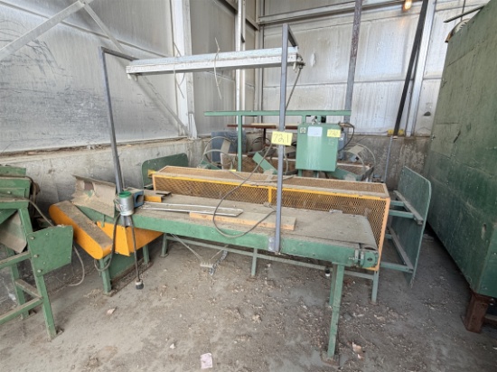 7' X 16" Belt Conveyor W/ Light