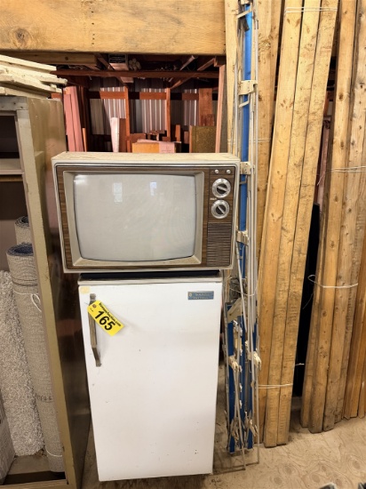 Lot: Sanyo Apartment Size Freezer, Rca Console Tv