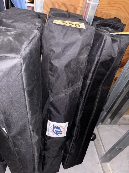 BID PRICE X 2 - (2) EZ-UP CANOPIES