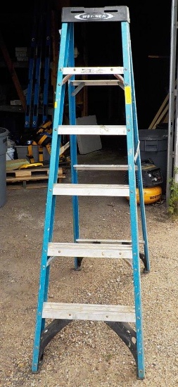 WERNER 6FT BLUE FIBERGLASS LADDER