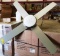 QUORUM DISPLAY CEILING FAN WITH LED LIGHT