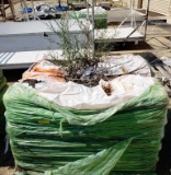 PALLET OF APPROX. 50 BAGS OF ECOSCRAPS ORGANIC GARDEN SOIL