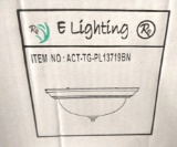 11 NEW E LIGHTING ACT-TG-PL13719BN