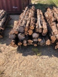 25pc 8' Cedar Posts