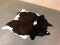 Cowhide Rug 88