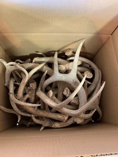 Box of Antlers